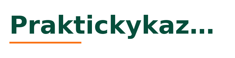 Praktickykazdyden logo